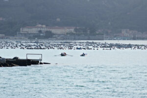 A motor boat and a rowing boat enter the port of La Spezia. - MyVideoimage.com