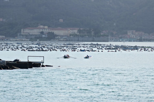 A motor boat and a rowing boat enter the port of La Spezia. - MyVideoimage.com