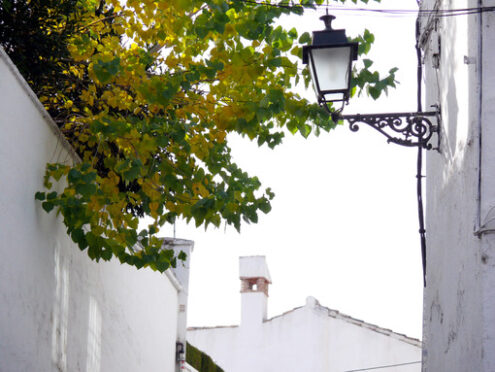 A street with white walls of houses. - MyVideoimage.com