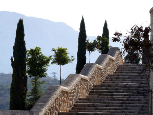 Wide staircase. A wide staircase with cypress trees on the sides