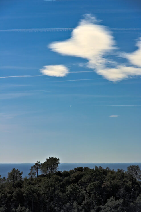 Alberi e cielo alle Cinque Terre. Gli alberi, mare, cielo in un panorama delle Cinque Terre. Monte Grosso. - MyVideoimage.com | Foto stock & Video footage