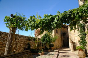 Alley of the city of Assisi with stone facades of historic houses. Arbor with climbing vine plant and flags on the walls of buildings. - MyVideoimage.com