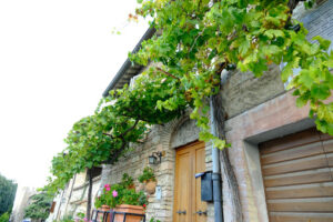 Alley of the city of Assisi with stone facades of historic houses. Arbor with climbing vine plant and flags on the walls of buildings. - MyVideoimage.com