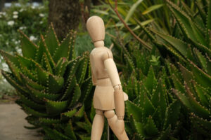 Aloe vera. Wooden mannequin in the midst of aloe vera plants. Mediterranean garden with thorny leaves of succulents and model. - MyVideoimage.com | Foto stock & Video footage