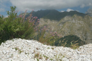 Alpi Apuane Panorama. Panorama of the Apuan Alps near a white marble quarry. Foto stock royalty free. - MyVideoimage.com | Foto stock & Video footage