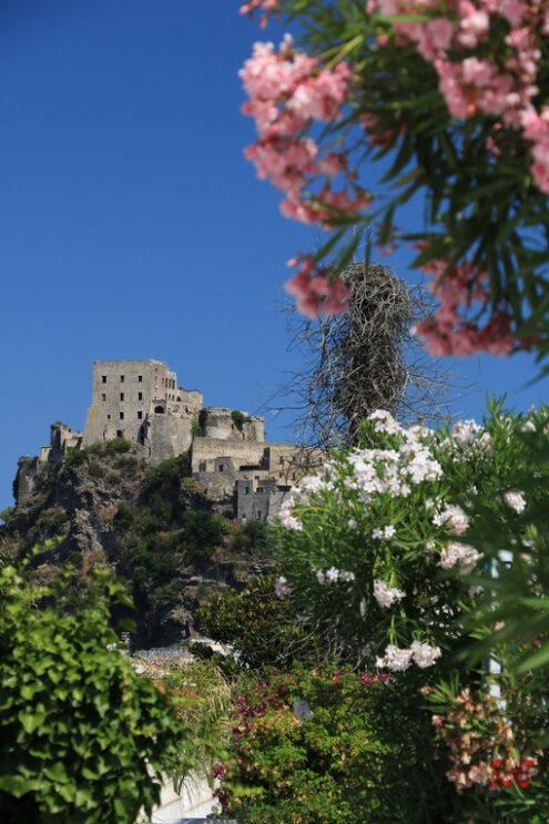 Ancient Aragonese Castle in Ischia Ponte. The fortification. Foto Ischia photos.