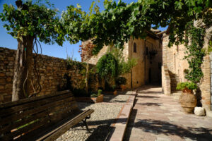 Arbor with climbing. Assisi, Italy. Alley of the city of Assisi with stone facades of historic houses. Arbor with climbing vine plant and flags on the walls of buildings. - MyVideoimage.com | Foto stock & Video footage