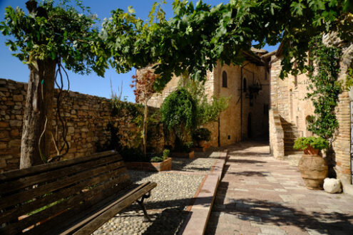 Arbor with climbing. Assisi, Italy. Alley of the city of Assisi with stone facades of historic houses. Arbor with climbing vine plant and flags on the walls of buildings. - MyVideoimage.com | Foto stock & Video footage