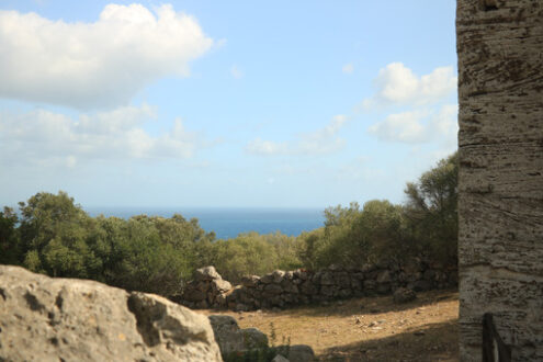 Archaeological park of the ancient city of Cosa, near Ansedonia. - MyVideoimage.com