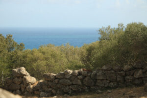 Archaeological park of the ancient city of Cosa, near Ansedonia. - MyVideoimage.com