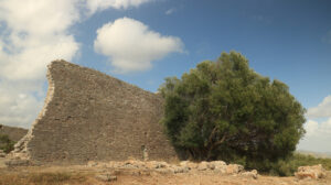 Archaeological park of the ancient city of Cosa, near Ansedonia. - MyVideoimage.com