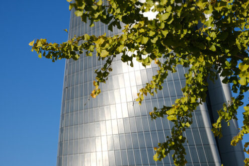 Assicurazioni Generali Milano. Generali Assicurazioni skyscraper in Milan Citylife surrounded by trees with green leaves. - MyVideoimage.com | Foto stock & Video footage