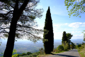 Assisi panorama della campagna. Panorama of the Assisi countryside with the road leading to the Hermitage of the Carceri used by St. Francis for prayers. - MyVideoimage.com | Foto stock & Video footage