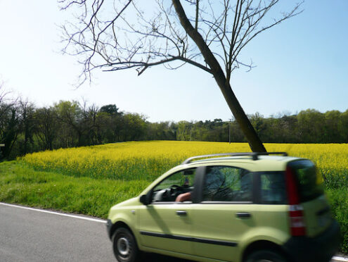 Automobile with a rapeseed field used to produce biodiesel - MyVideoimage.com