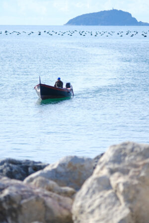 Barca da pescatore nel mare della Liguria, Golfo di La Spezia. - MyVideoimage.com | Foto stock & Video footage