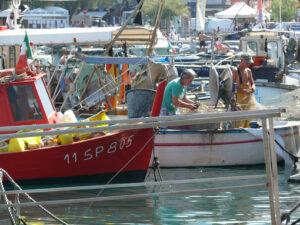 Barche colorate di pescatori. Il porticciolo ricavato nella baia di Lerici ospita numerose barche ancorate a gavitelli. Foto stock. - MyVideoimage.com | Foto stock & Video footage