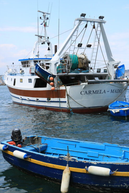 Barche da pesca. Fishing boats in the port of Procida Island. Fishing is still an - MyVideoimage.com | Foto stock & Video footage