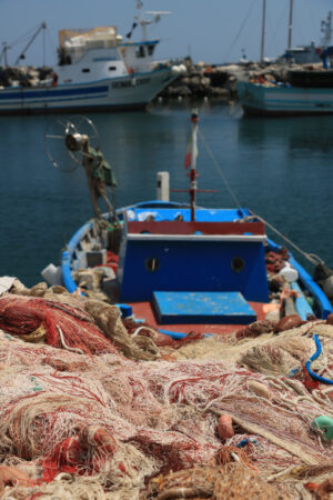 Barche di pescatori. Boats anchored in the port of Corricella on the Island of Procid - MyVideoimage.com | Foto stock & Video footage