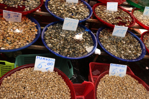 Baskets of seafood, clams in a fish market in Naples. - MyVideoimage.com