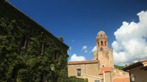 Bell tower of the church of Castiglione della Pescaia with blue sky. House with a façade covered with a creeping plant with green leaves. - MyVideoimage.com