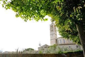 Bell tower of the church of Santa Chiara in Assisi. 	In the foreground the green leaves of a tree. - MyVideoimage.com