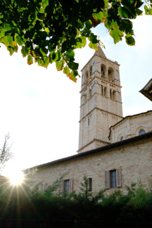 Bell tower of the church of Santa Chiara in Assisi. 	In the foreground the green leaves of a tree. - MyVideoimage.com