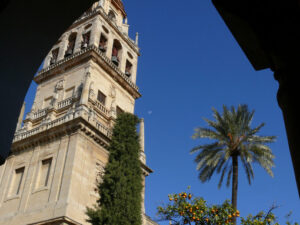 Bell tower of the mosque-cathedral. Foto Siviglia. Sevilla photo