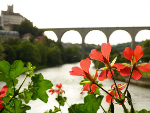 Berne Gate Bridge - MyVideoimage.com