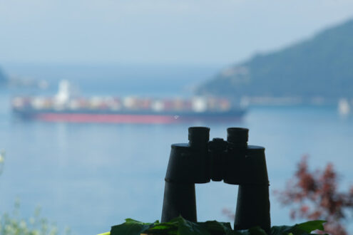 Binocolo con nave. Binoculars resting on a table. Container ship cargo ship on the background. Ligurian Mediterranean sea in the Gulf of La Spezia. - MyVideoimage.com | Foto stock & Video footage