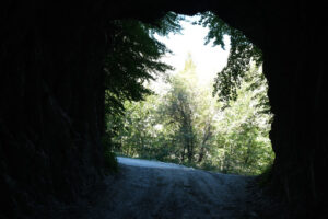 Bottom of the tunnel. Green trees can be seen from the bottom of a tunnel carved into the rock. Stock photos. - MyVideoimage.com | Foto stock & Video footage