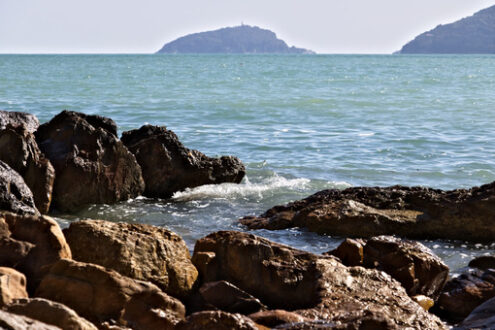 Breeding of mussels in the sea of the Gulf of La Spezia in Ligur - MyVideoimage.com