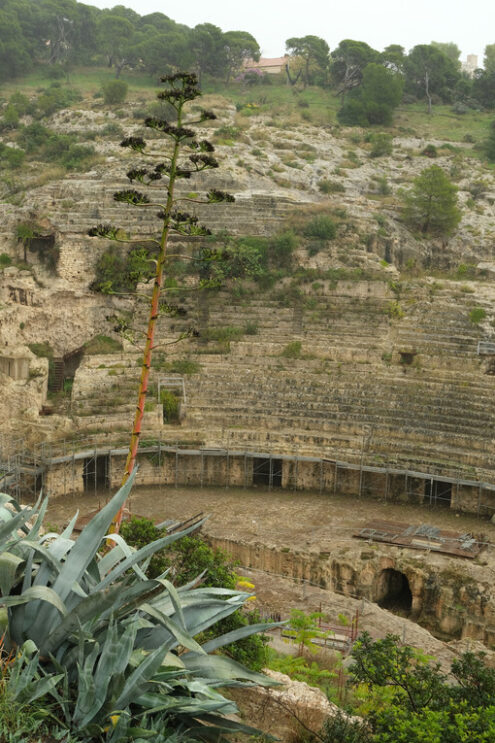 Cagliari amphitheater. Roman amphitheater of Cagliari. Stock photos. - MyVideoimage.com | Foto stock & Video footage