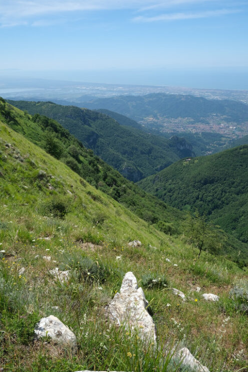 Camaiore landscape. Panorama of Versilia with the cities of Camaiore and Viareggio. Stock photos. - MyVideoimage.com | Foto stock & Video footage