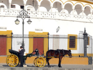 Carriage with horse and coachman. Foto Siviglia. Sevilla photo