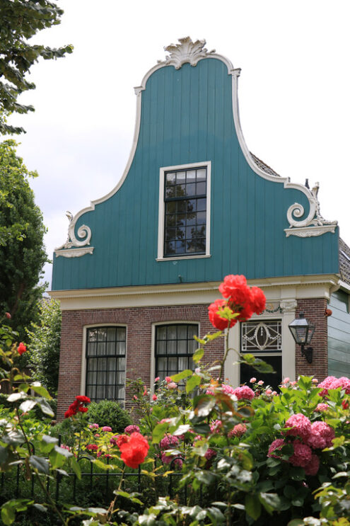 Casa del nord Europa. Wooden and brick house in northern Europe. In the foreground garden with hydrangea with pink flowers and red rose flowers. - MyVideoimage.com | Foto stock & Video footage