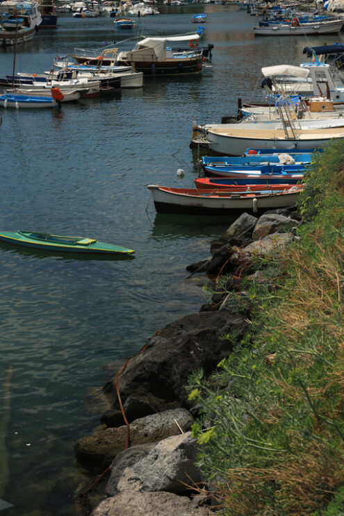 Case di Procida. Procida Island near Naples. Port of Corricella frequented by fis - MyVideoimage.com | Foto stock & Video footage