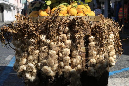 Cesto con aglio e limoni in vendita sull’isola di Ischia, nei pressi di Napoli. - MyVideoimage.com | Foto stock & Video footage