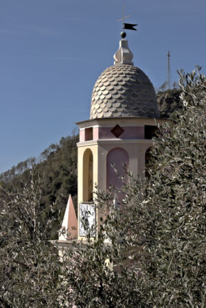 Chiesa alle Cinque Terre. Bell tower among olive trees. A church in the Cinque Terre immersed in an olive grove. - MyVideoimage.com | Foto stock & Video footage