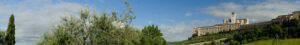 Chiesa con ulivi. Convento di San Francesco, Assisi. Panoramic photo of the convent and church of San Francesco in Assisi. The architecture immersed in the countryside with cultivation of olive trees. - MyVideoimage.com | Foto stock & Video footage