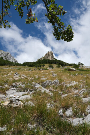 Cima della montagna. Apuan Alps mountains in Tuscany, green vegetation and blue sky with clouds. Foto stock royalty free. - MyVideoimage.com | Foto stock & Video footage