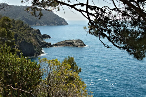 Cinque Terre seascape. Liguria, Framura, Italy. A blue sea with sheer mountains. Mediterranean trees and vegetation. - MyVideoimage.com | Foto stock & Video footage