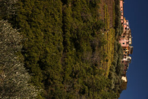 Cinque Terre village of San Bernardino on the hills in Liguria. - MyVideoimage.com | Foto stock & Video footage