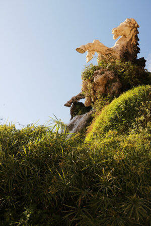 Ciutadella Park. A fountain with sculpture immersed in a papyrus mantle - MyVideoimage.com