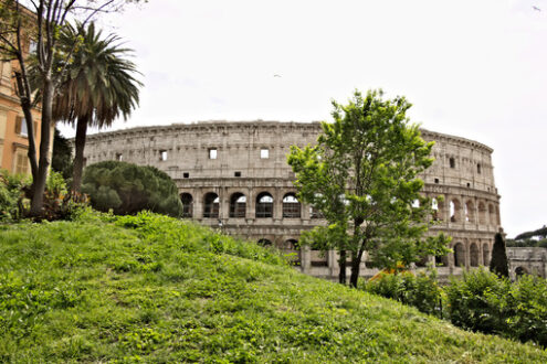 Colosseo Rome. The colosseum with a green lawn on the hill of Colle Oppio. - MyVideoimage.com | Foto stock & Video footage