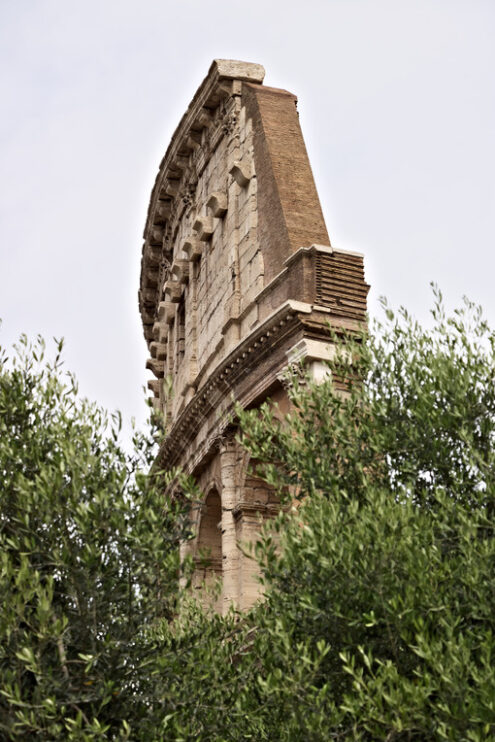 Colosseum, details. Rome. Detail of a wall of the Colosseum. Some blocks of travertine were used to build other buildings. Roma foto. - MyVideoimage.com | Foto stock & Video footage