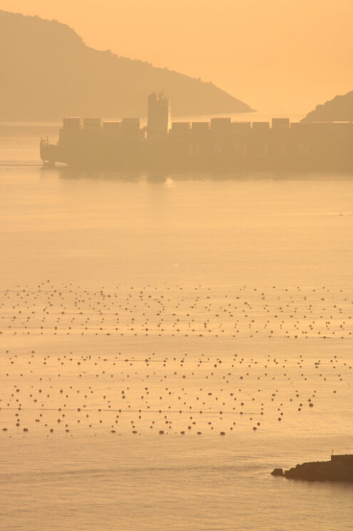 Container ship crosses the sea in the Gulf of La Spezia in front of Portovenere. Warm light of the setting sun. - MyVideoimage.com | Foto stock & Video footage