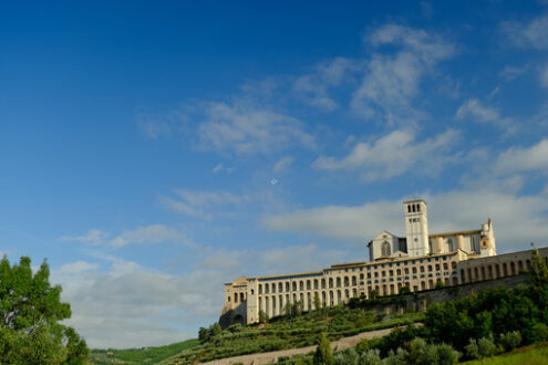 Convent and church of San Francesco in Assisi. The architecture immersed in the countryside with cultivation of olive trees. - MyVideoimage.com | Foto stock & Video footage