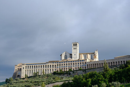 Convent of San Francesco of Assisi. Convent and church of San Francesco in Assisi. The architecture immersed in the countryside with cultivation of olive trees. - MyVideoimage.com | Foto stock & Video footage