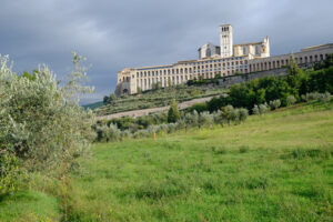 Convento Assisi con uliveto. Convent and church of San Francesco in Assisi. The architecture immersed in the countryside with cultivation of olive trees. - MyVideoimage.com | Foto stock & Video footage