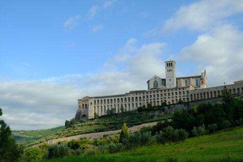 Convento San Francesco di Assisi. Convent and church of San Francesco in Assisi. The architecture immersed in the countryside with cultivation of olive trees. - MyVideoimage.com | Foto stock & Video footage